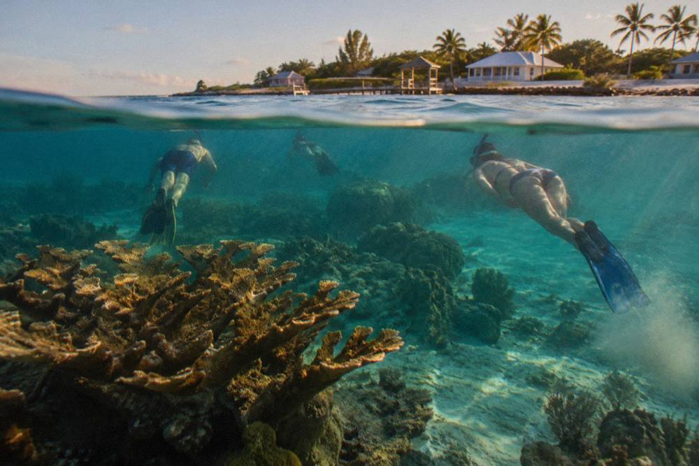 Snorkelers in the water beside a reef in calm turquoise Bahamian sea
