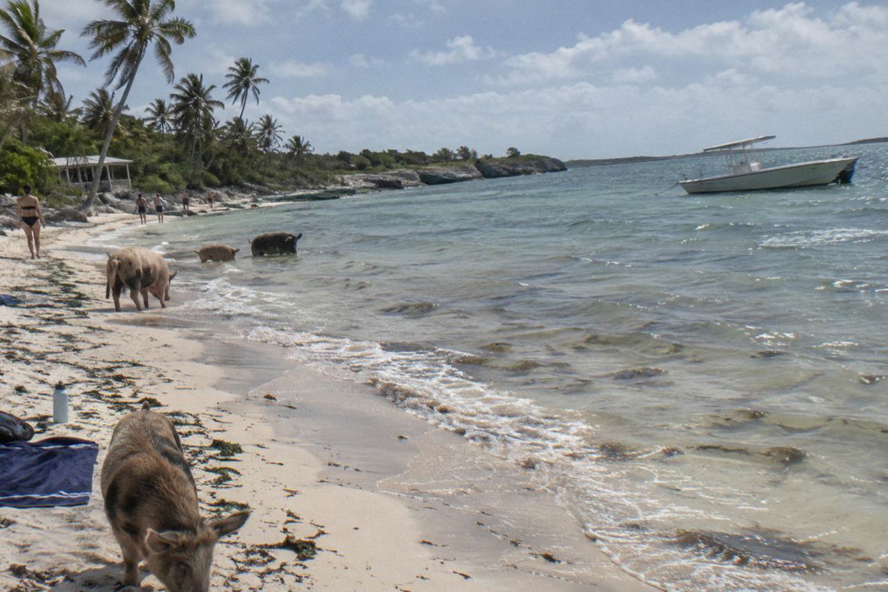 A turquoise bay with a small boat anchored near a sandy beach dotted with palm trees