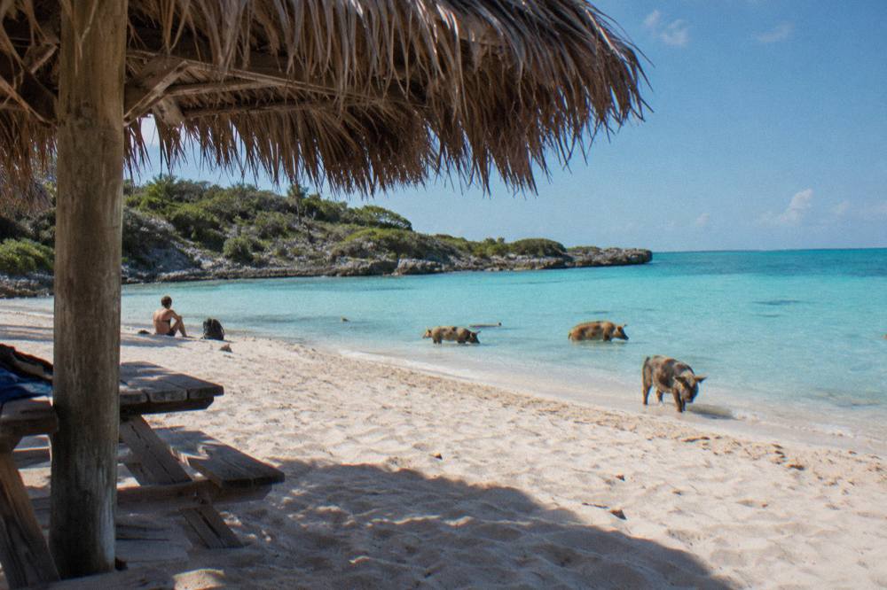 Turquoise shallows along a small island beach with a thatched shade structure