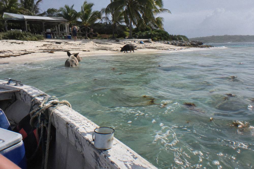 A boat anchored in clear shallow water beside a small island shoreline