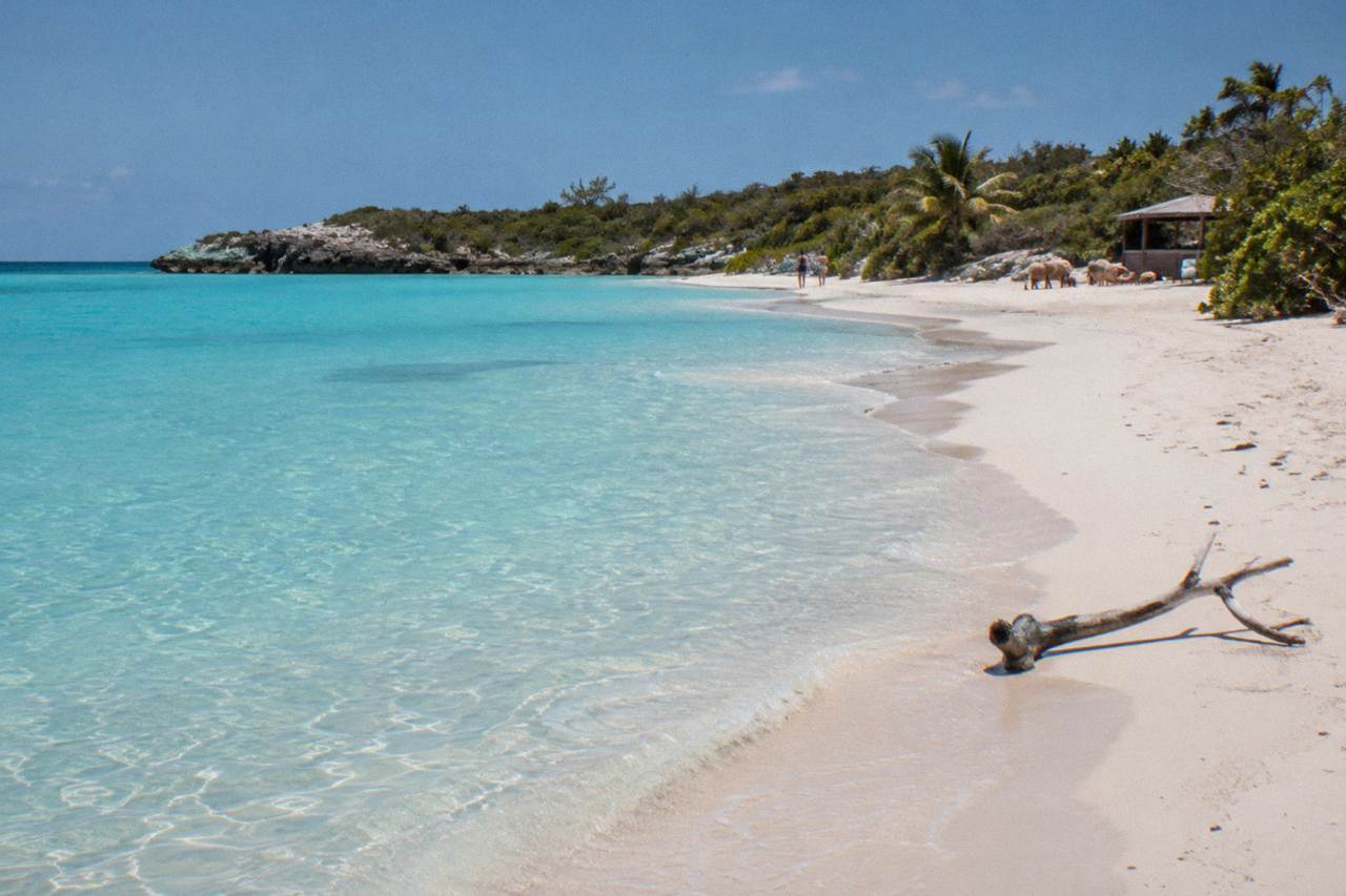 Turquoise shallow water lapping a quiet sand beach under a bright sky
