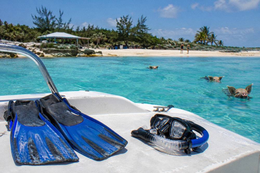 Snorkel fins and a mask resting on a boat deck in sunlight