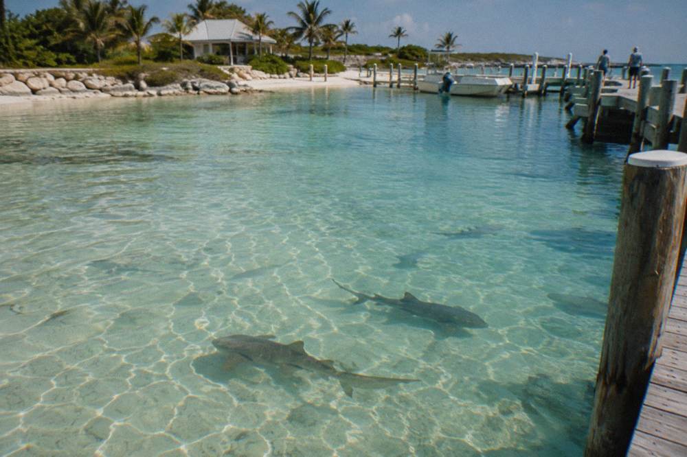 Shallow clear water over pale sand with gentle ripples under afternoon light