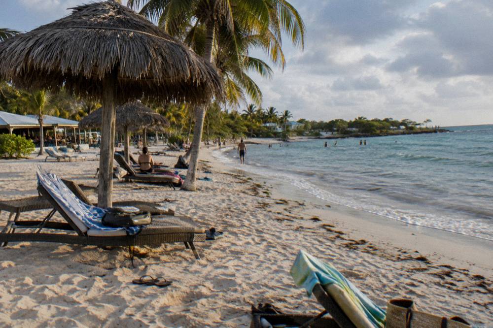 A quiet palm-lined beach with loungers and thatched shade in late afternoon light