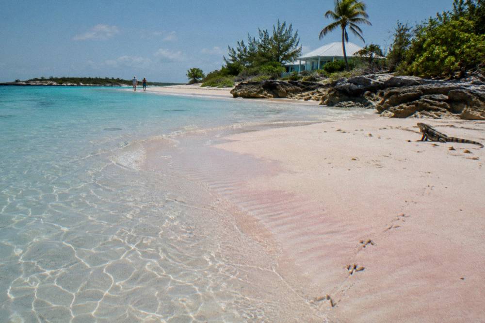 A pink sandbar in clear shallow water with scattered low rocks