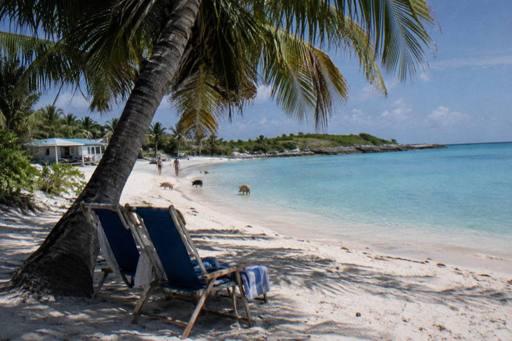 Shaded beach chairs and a palm tree on white sand beside calm turquoise water