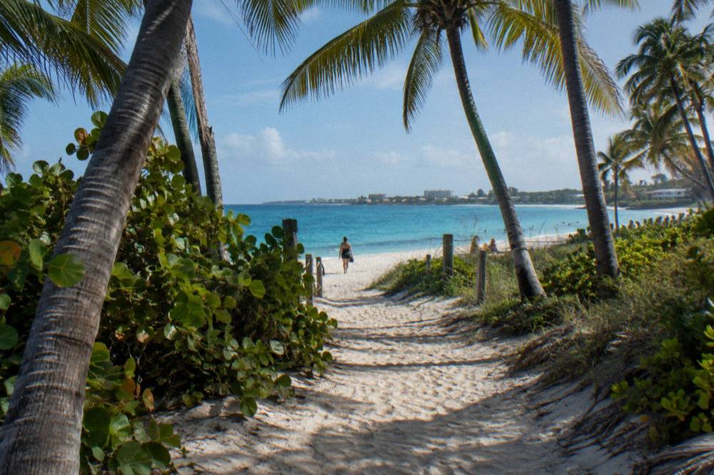 A sandy beach path lined with palm trees leading toward blue water