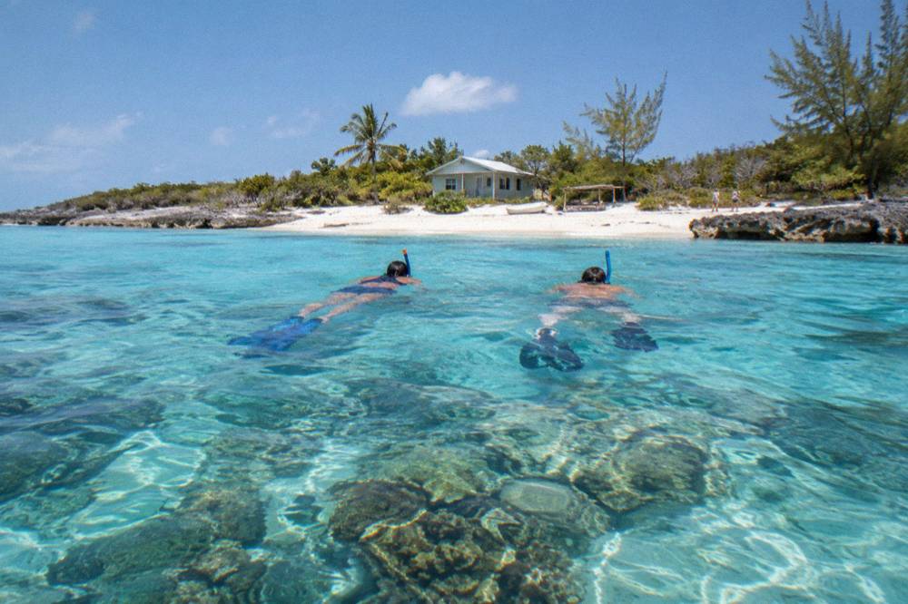 Snorkelers floating above a shallow coral reef in clear water