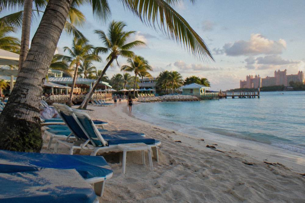 Beach chairs and shaded seating under palm trees beside calm water