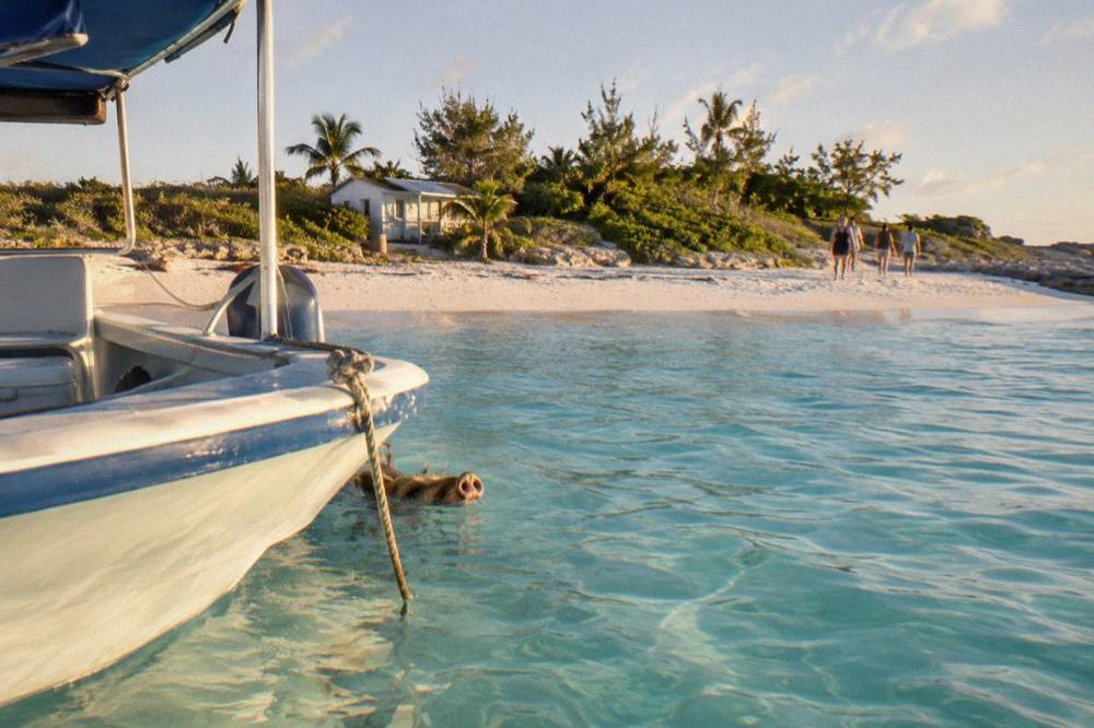 A small tour boat anchored beside a quiet beach with calm turquoise water