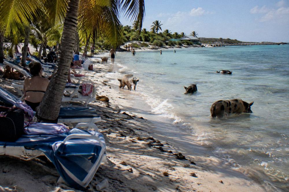 A shaded beach with loungers and calm shallow water on a bright day