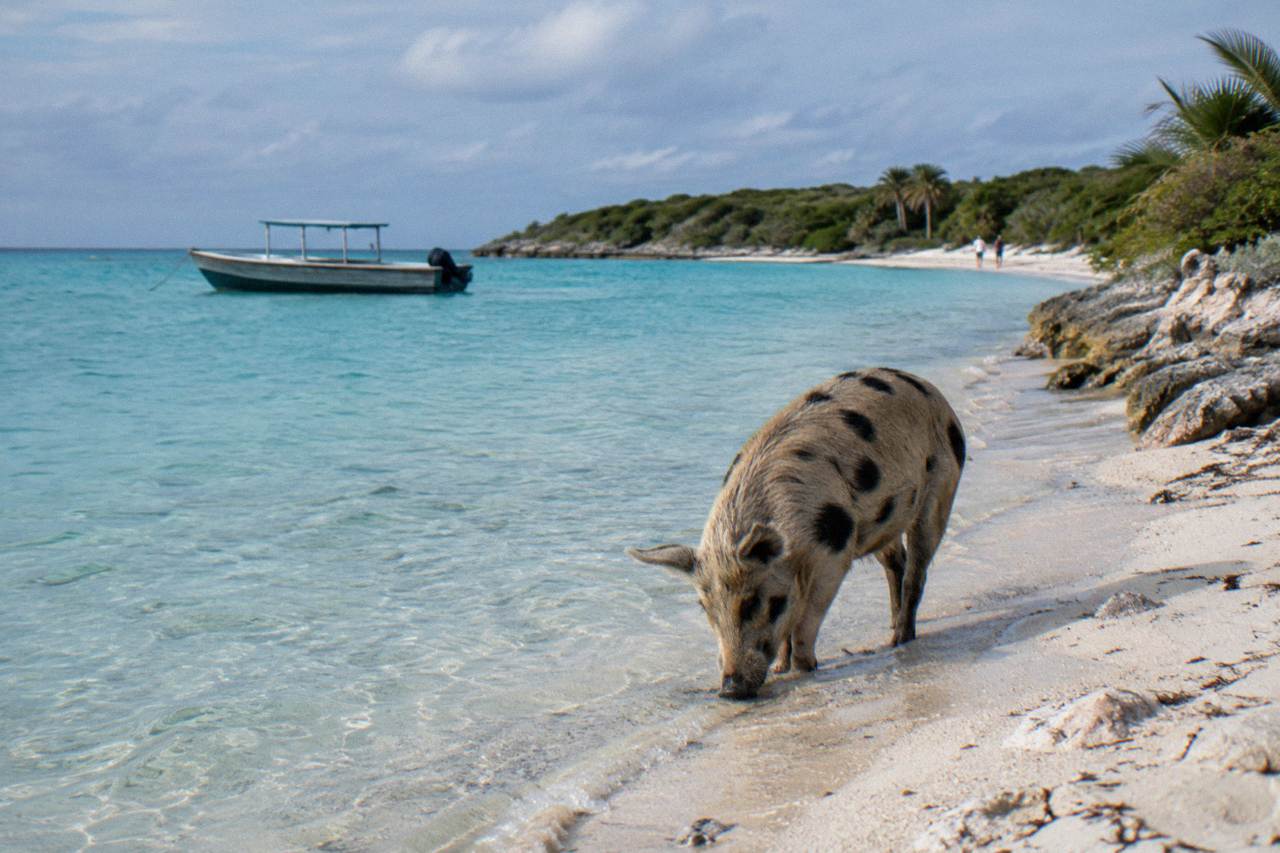 Clear shallow water along a small Bahamian island shoreline with a wooden boat anchored offshore
