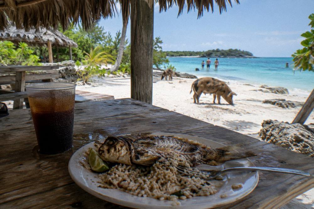 A plate of grilled lunch served at a beachside table under a palm roof