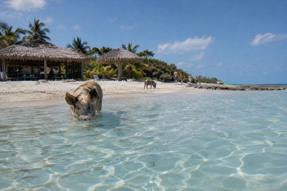 Turquoise shallow water off a small island beach with thatched shade umbrellas and calm rippled sand