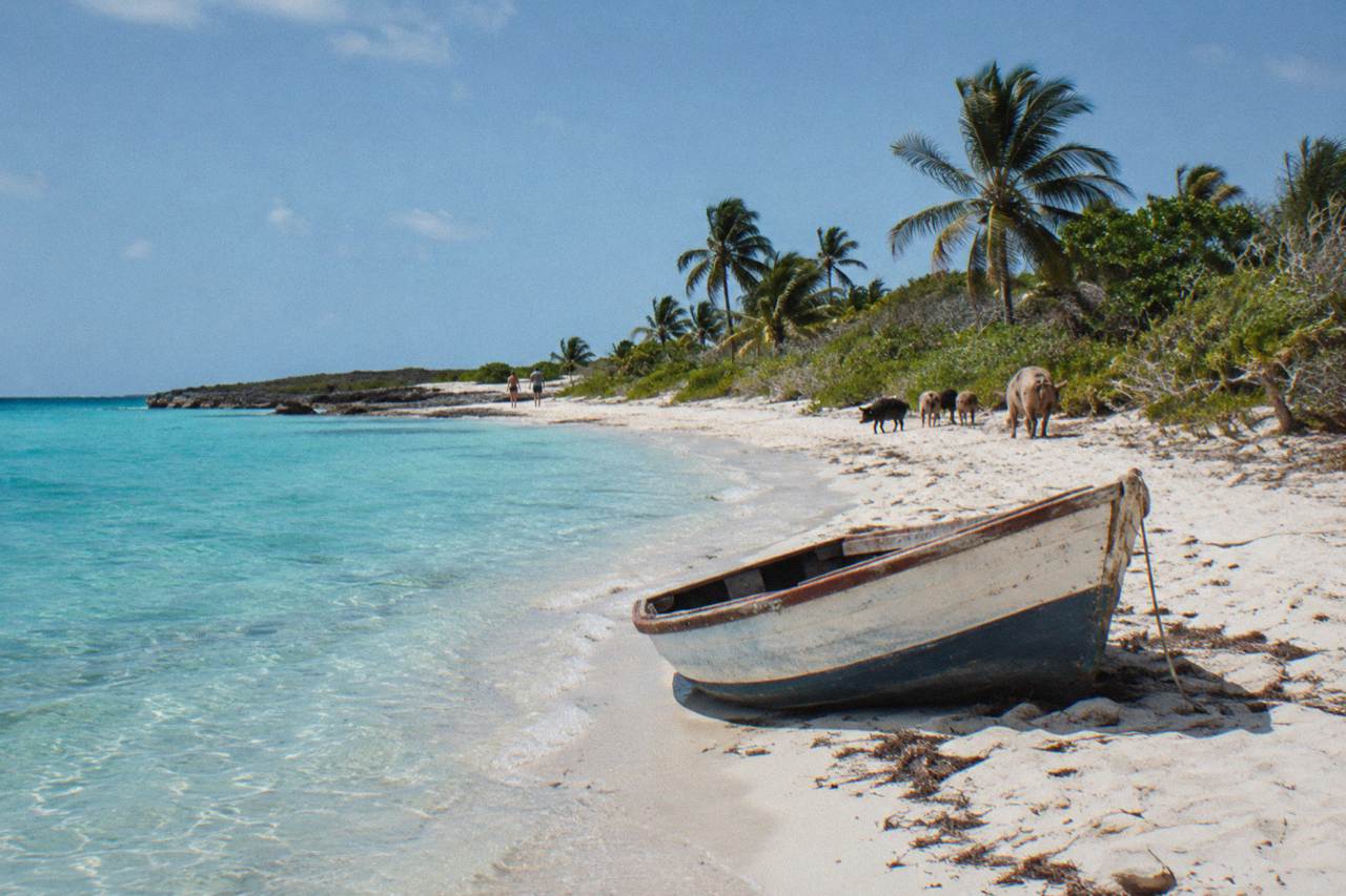 Turquoise shallow water beside a small uninhabited island with sandy shore and palm fringe