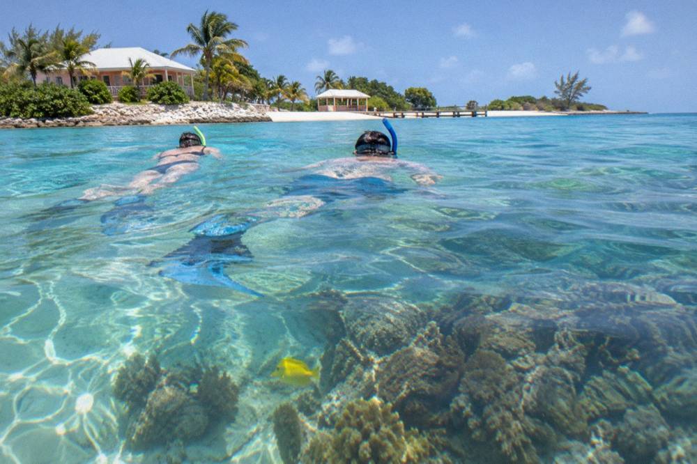 Snorkelers floating above a shallow coral reef with tropical fish visible below