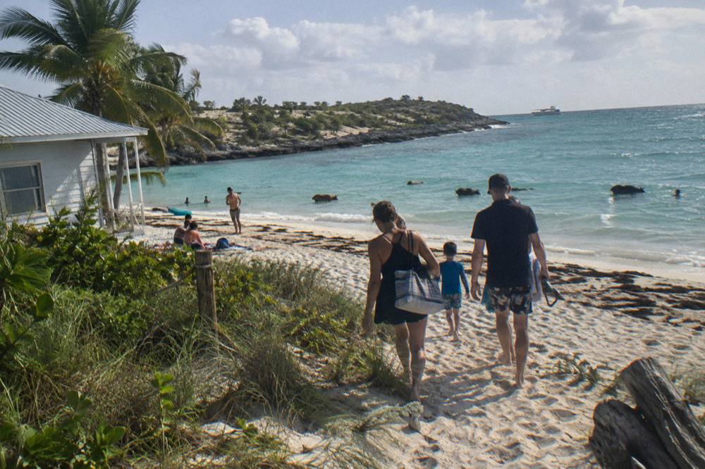 A family walking along a white sand beach toward calm shallow water in late afternoon light
