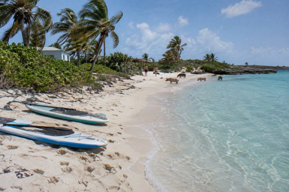 Shallow clear water near a beach with paddle boards resting on the sand