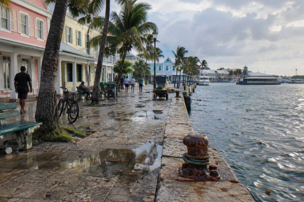 A harborfront street with palm trees and colonial architecture in morning light